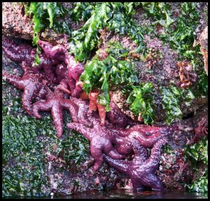 Bottleneck2015-560-IMG_9176_edited-2