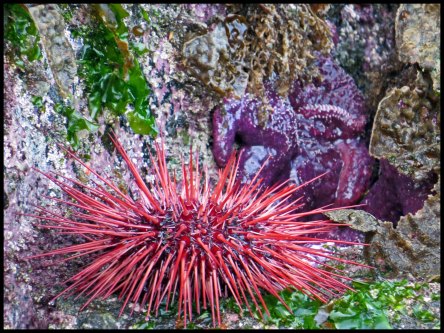 Bottleneck2015-566-IMG_9182_edited-1