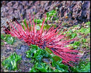 Bottleneck2015-569-IMG_9201_edited-1