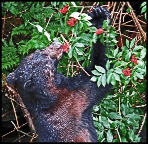 Bottleneck2015-58-IMG_8980-1_edited-2