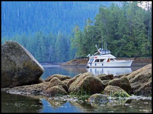 Discovery2015 07 01_2433_edited-1