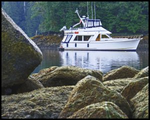 Discovery2015 07 01_2434_edited-1