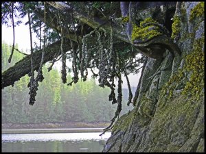 Discovery2015 07 01_2447 copy