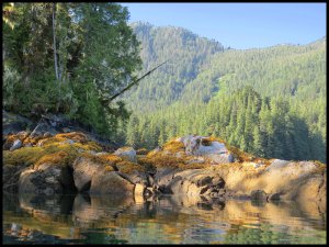 Discovery2015 07 01_2578_edited-1