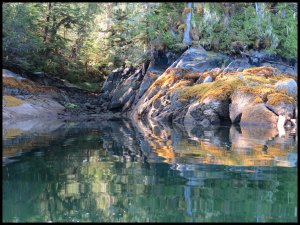 Discovery2015 07 01_2584_edited-2