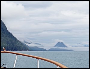 Finlayson22-IMG_8635_edited-1