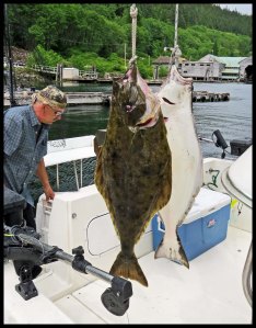 Halibut2015 06 19_1587_edited-1