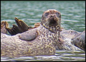 Khutze2015-233-IMG_9685_edited-1