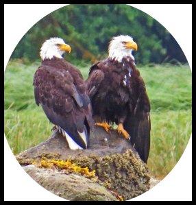 Khutze2015-37_edited-1