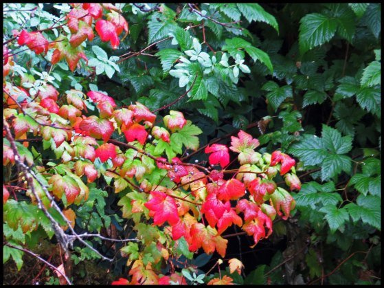 Khutze2015-52-IMG_9636_edited-1