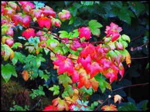 Khutze2015-53-IMG_9641_edited-1