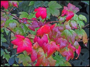 Khutze2015-55-IMG_9642_edited-1