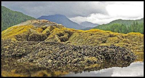 Klewnuggit2015-523-IMG_0666_edited-1