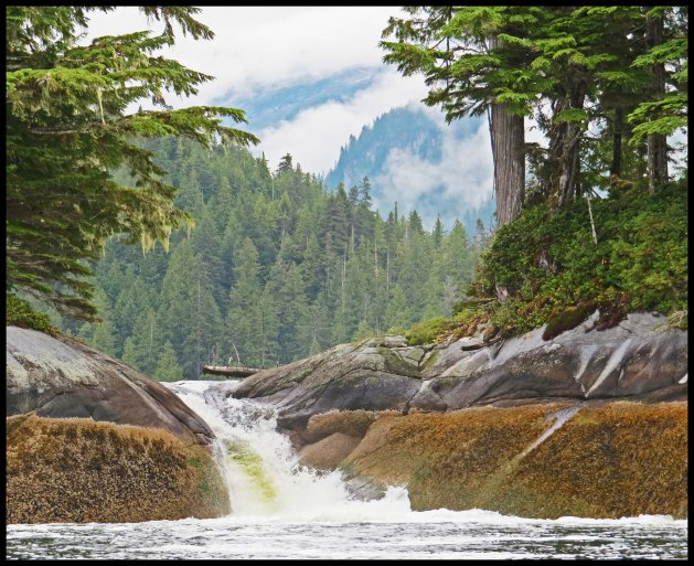 Klewnuggit2015-614-IMG_0726_edited-1