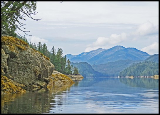 Klewnuggit2015-751a-IMG_0854_edited-1