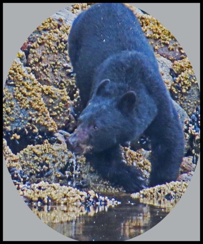 Klewnuggit2015-854-IMG_0986_edited-1.jpgIMG_0987_edited-1