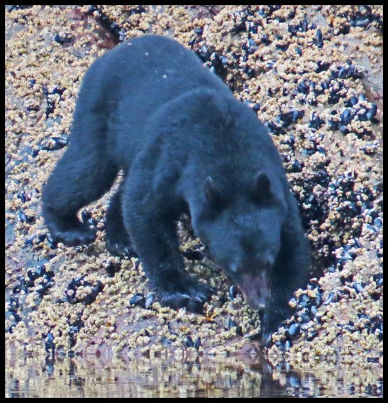 Klewnuggit2015-861-IMG_1160_edited-1.jpgIMG_1167_edited-1