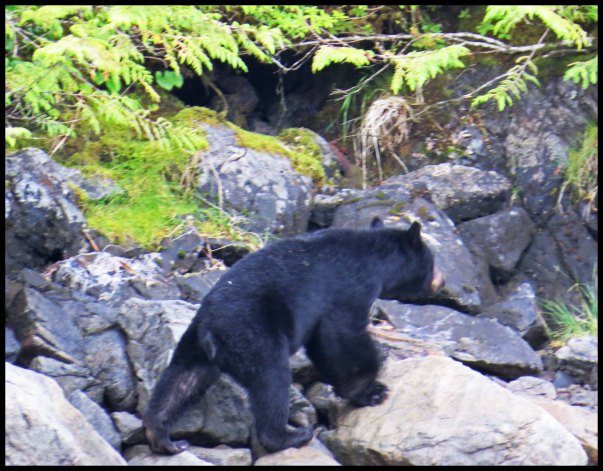 Klewnuggit2015-870-IMG_1199_edited-1