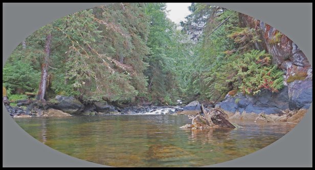 Klewnuggit2015_edited-1