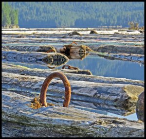 Nash10_2015 07 04_2859_edited-1