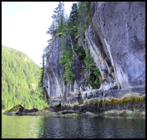 Nash1_2015 07 04_2815_edited-1