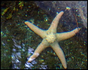 Nash5_2015 07 04_2822_edited-2