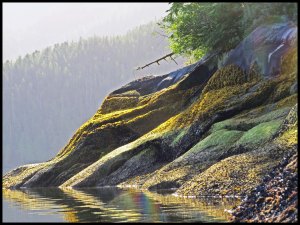 Nash7_2015 07 04_2835_edited-1