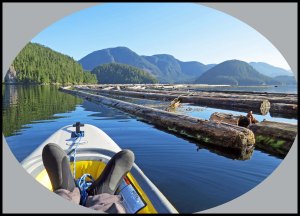 Nash9_2015 07 04_2858-1