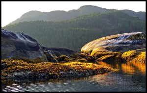 NashArea20_2015 07 05_2918_edited-2