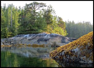 NashArea6_2015 07 05_2908 copy