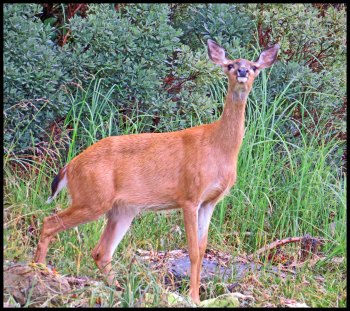 PriceInlet2015-220IMG_8478_edited-1