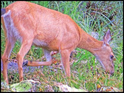 PriceInlet2015-222-IMG_8481_edited-1