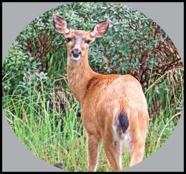 PriceInlet2015-231_edited-1