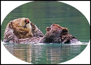 PriceInlet2015-270_edited-1