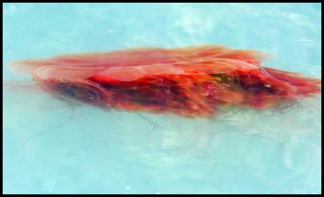 PriceInlet2015-30-IMG_8275_edited-2