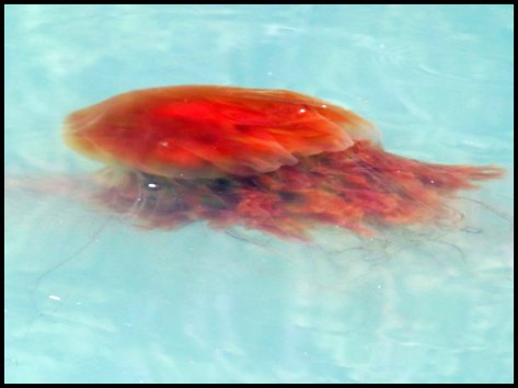 PriceInlet2015-30-IMG_8276_edited-1