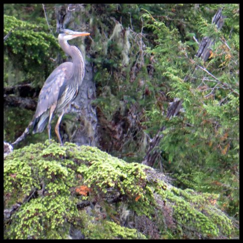 PriceInlet2015-47a-IMG_8238 copy