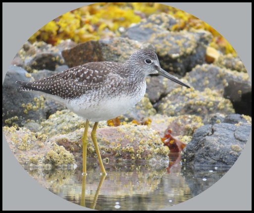 PriceInlet2015-73-Untitled-1