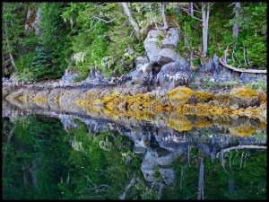 Rocks3Kakush2015 06 27_2082 copy