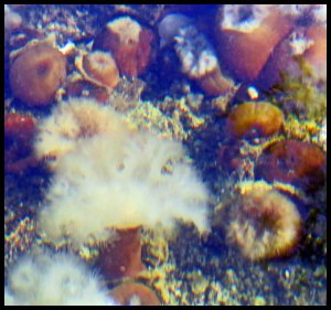 Rogers2015 07 02_2692_edited-1