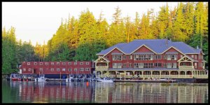 St.John2015IMG_8224_edited-1