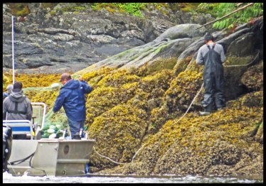 VerneyFalls2015-1-IMG_0039_edited-1