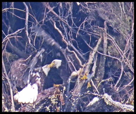 VerneyFalls2015-13-IMG_0370_edited-1