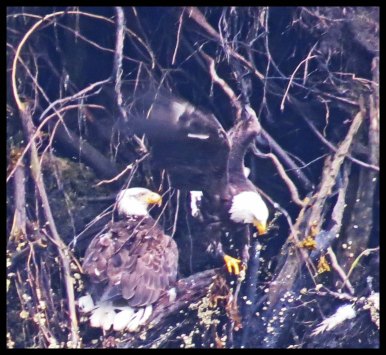 VerneyFalls2015-14-IMG_0371_edited-1