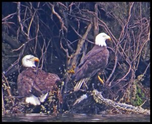 VerneyFalls2015-19-IMG_0386_edited-2