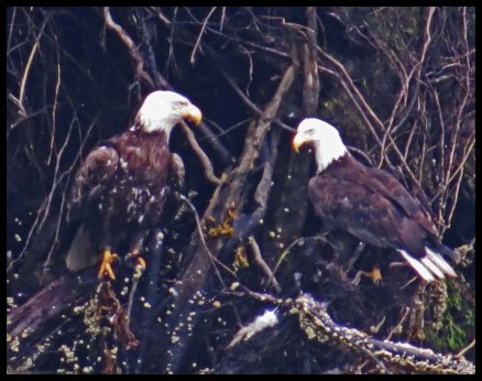 VerneyFalls2015-20-IMG_0396_edited-2