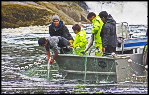 VerneyFalls2015-405-IMG_0291_edited-1