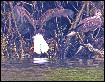 VerneyFalls2015-5-IMG_0339_edited-1