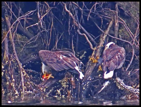 VerneyFalls2015-9-IMG_0347_edited-2