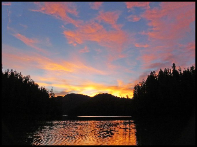 Wallace2015-999c.jpgIMG_9344_edited-1